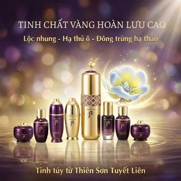 THE WHOO - Hoàn Lưu Cao Set Tinh Chất Vàng HLC - EXP 202806 - 1100$