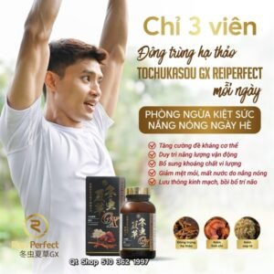 Viên uống Đông Trùng Tochukasou Gx Reiperfect - Hộp 150 viên - EXP 202804