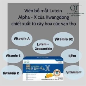 Bổ Mắt Kwangdong - EXP MAR 2026