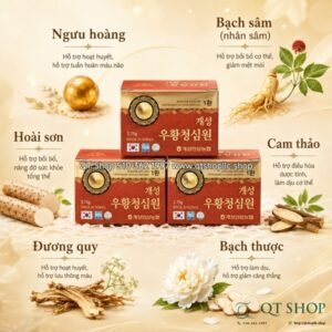 Viên Đột Quỵ NongHuyp - 10v - EXP 202806