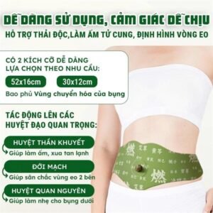 Miếng Dán Ngải Cứu Tan Mỡ Bụng - 5 miếng