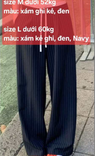 Quần xám kẻ ghi - size L