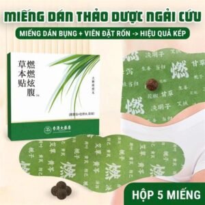 Miếng Dán Ngải Cứu Tan Mỡ Bụng - 5 miếng