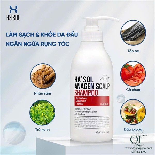 87363493d84049a78e8d84e8c04a2fa8 Dầu gội Ha'sol Anagen Scalp Shampoo - 500g - EXP 202806