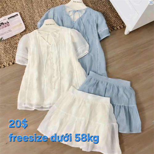 c27638fb83674219a08b347aaf583dfa set áo cổ chữ V + váy xòe (freesize)