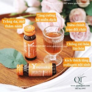 Nước Uống Collagen TBG nhau thai ngựa Youmaku Stem Cell Nano Liquid (10 chai x 30ml) - EXP 202705