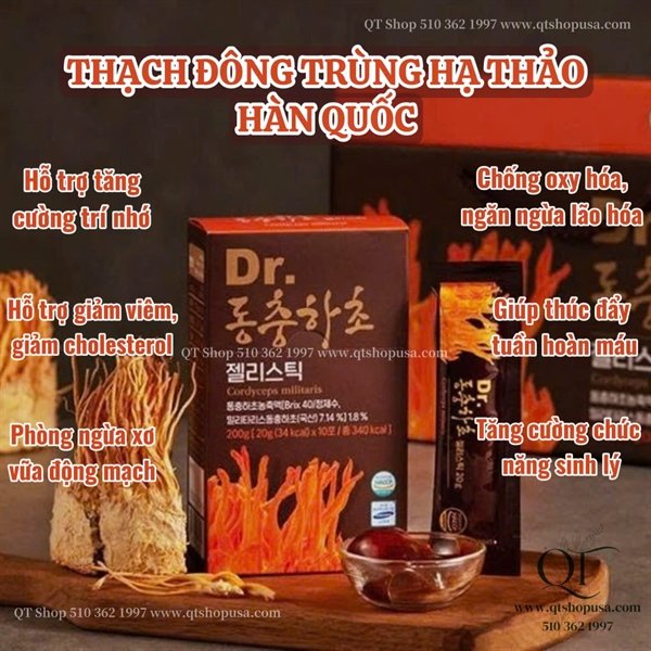 Thạch Đông Trùng Hạ Thảo - HQ - 30 gói