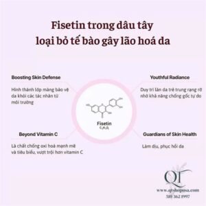 SHEGAIA - Mặt Nạ Mitobliss Brightening Mask - 10ea - Hồng - EXP 202903