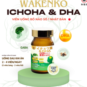 f6121a87131049cd84e6d06713f08c74 Viên uống bổ não WAKENKO Ichoga + DHA- JP - Date 06/2026