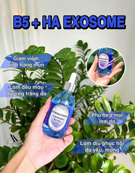 Serum Dermacrew Exosome B5+HA - 100ml EXP 202905
